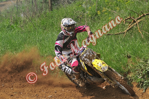 DSC_4667.jpg